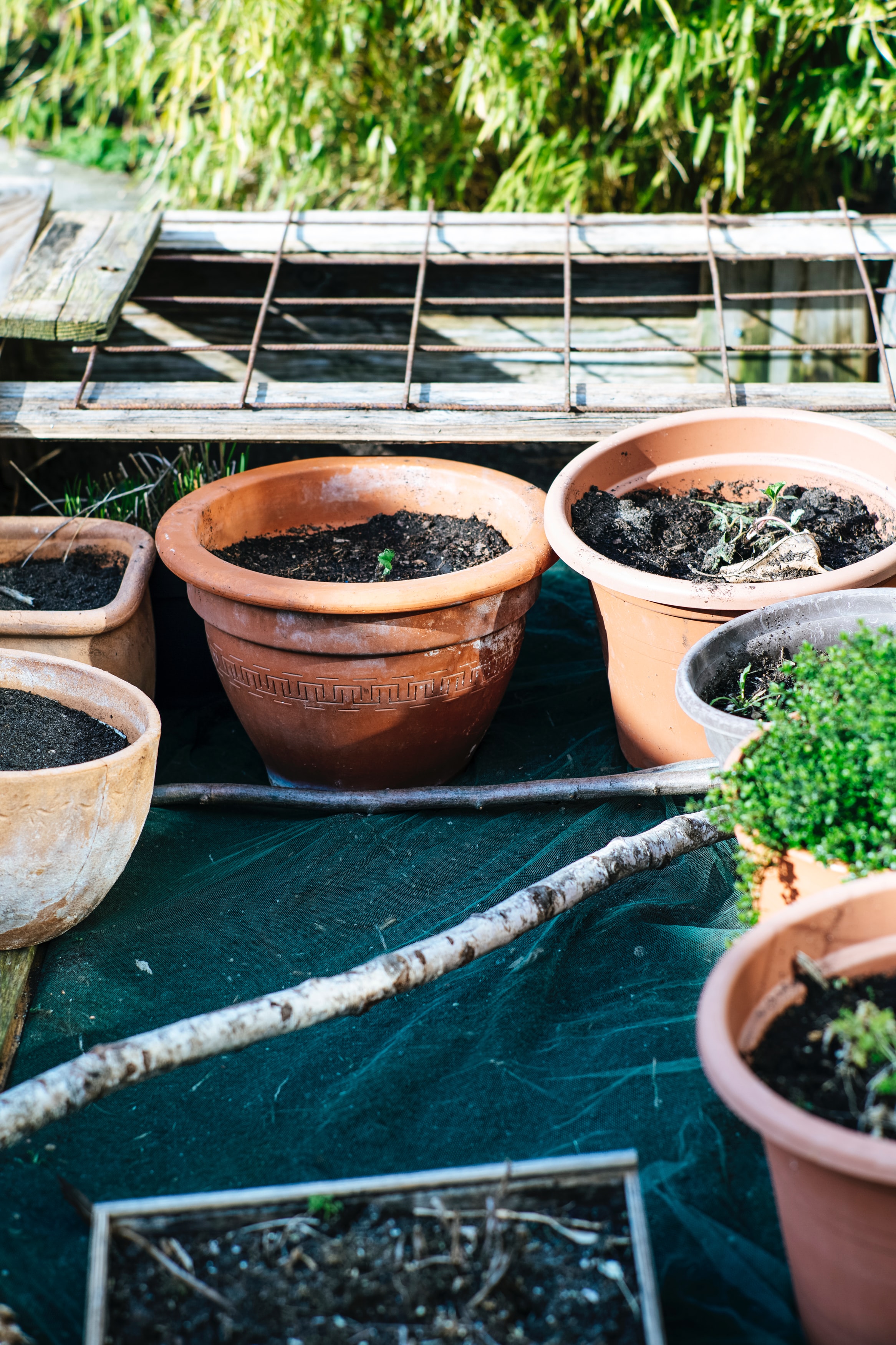 gardening pots