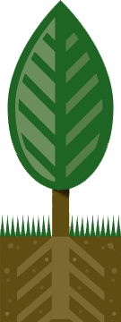 leaf